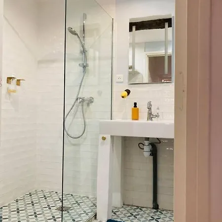 Apartment Vieux Garibaldi Renove